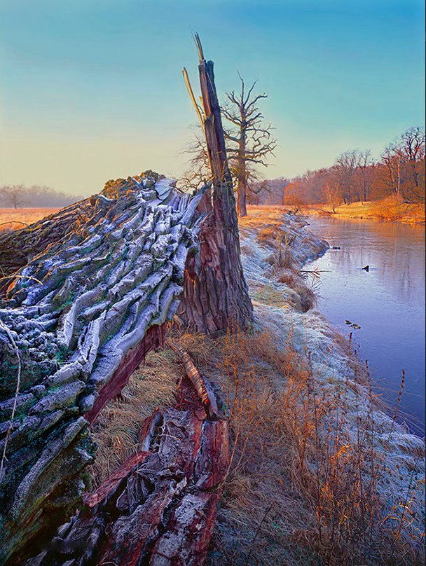 Frosty sunset in Rogalin, Poland